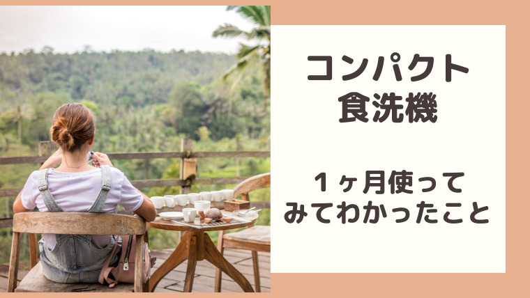 【工事不要・食洗機】１ヶ月実際に使ってわかったメリット・デメリット